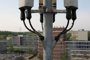 IMG 4571