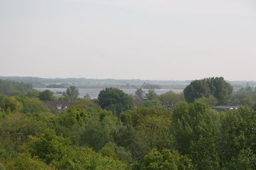 IMG 4577