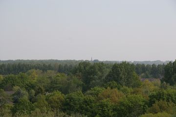 IMG 4578
