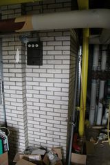 IMG 4524
