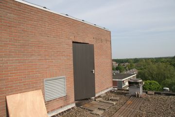IMG 4531