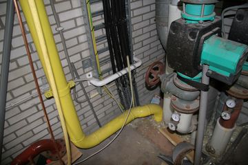IMG 4533