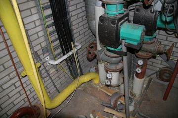 IMG 4534