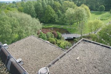 IMG 4575