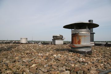 IMG 4585