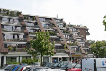 IMG 4595