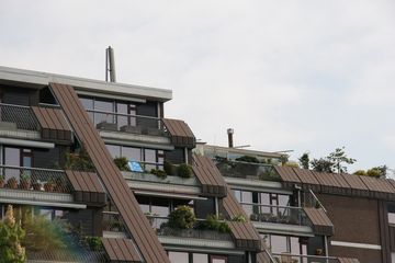 IMG 4596