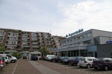 IMG 4597