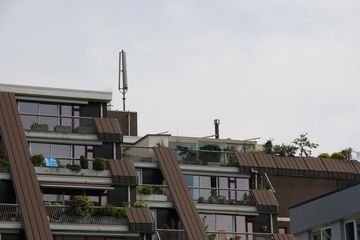 IMG 4598
