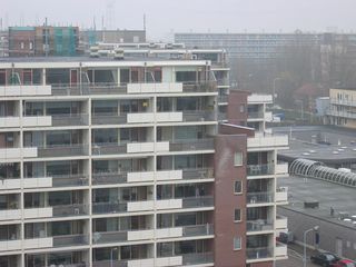 rosmolen0010