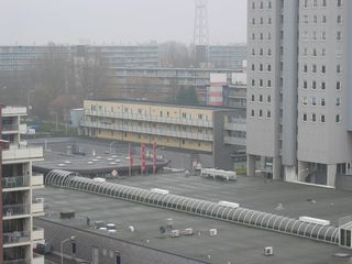 rosmolen0011