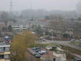 rosmolen0016