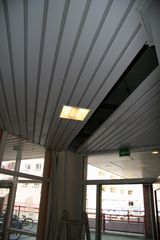 IMG 4601