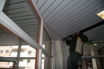 IMG 4608