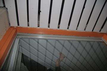 IMG 4611
