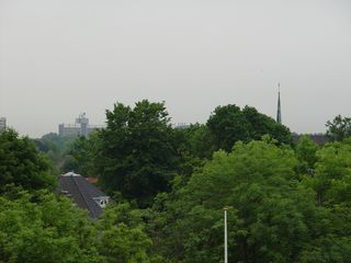 DSC06567