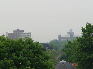 DSC06568
