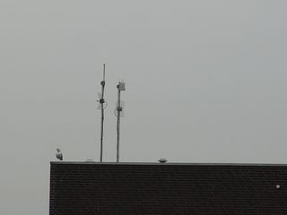 DSC06570