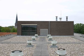 IMG 0787