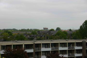 IMG 0794