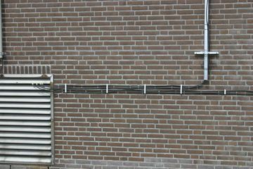 IMG 0808