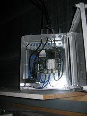 IMG 1129