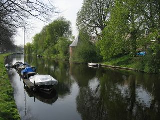 Singelpark41