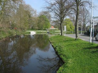 Singelpark42