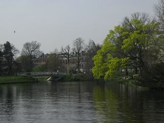Singelpark48
