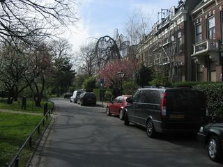 Singelpark53