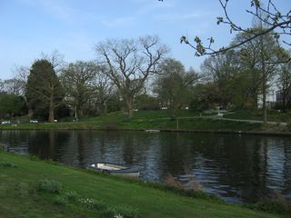 Singelpark61