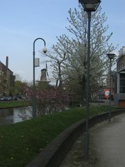 Singelpark73
