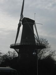 Singelpark82