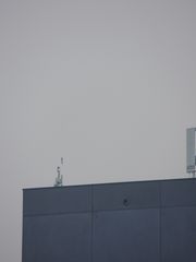 DSCN7761