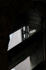 RES-IMG 0366