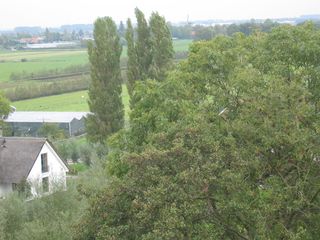StBavo24
