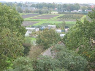 StBavo25