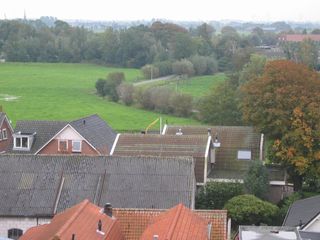 StBavo31