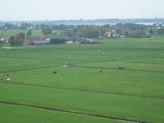 StBavo03