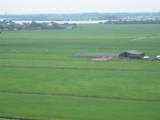 StBavo04
