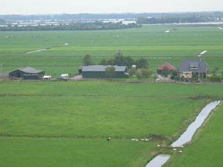 StBavo05