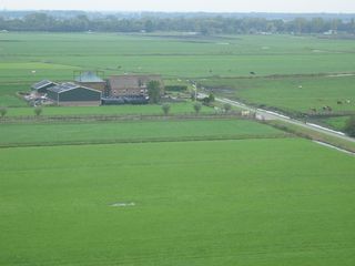 StBavo07