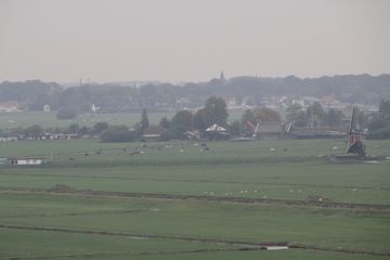 RES-IMG 0383