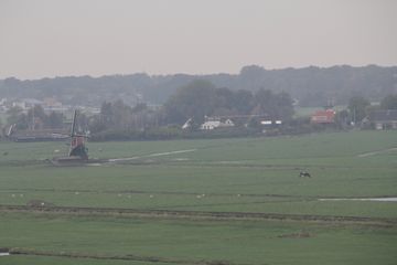 RES-IMG 0384