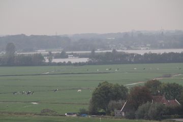 RES-IMG 0385