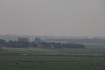 RES-IMG 0403