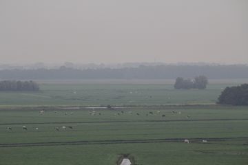 RES-IMG 0404
