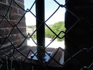 DSC00524