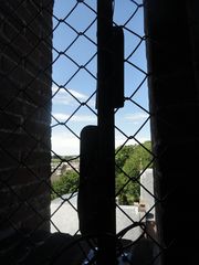 DSC00530