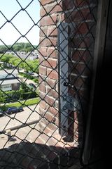 RES-IMG 2893